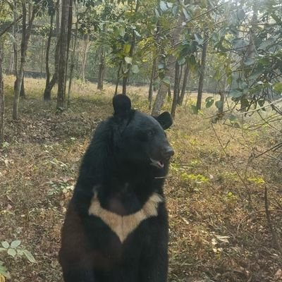 SkAltafHossai10's profile picture. 