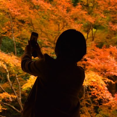 asuka2go19's profile picture. MDKD💚💙/推し様と写真と趣味垢/京の都大好き人間🐒/旅先と日常の風景を気まぐれに/N s