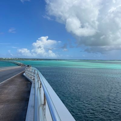 sharokun0603's profile picture. #PUBGMOBILE #ダーツ 時間バラバラ🫥 時間ある時にぜひご一緒に🙏 友達男女問わず大歓迎🫣 ただ下手なので、ご注意を😮‍💨😮‍💨 ちなみにダーツ好き😌 レーティングは16から9に落ちましたwイップスのせいです😭ダーツ好きからのフォローもお待ちしております☺️⭐️