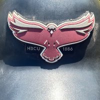 Higgs_Hawks_Softball (@umes_hawks_sb) 's Twitter Profile