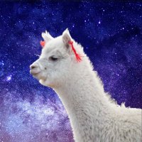 蝉たん (@ohirunecom) 's Twitter Profile Photo