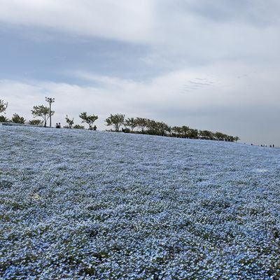 bi_tableau's profile picture. PowerBI、Tableau、LookerStudioを用いて、大手製造会社や大手サービス業のダッシュボードを作成しています。
自動更新可能なダッシュボードなるべく簡単な機能で利用者にもメンテナンスしやすいダッシュボードを作成します。
またデータから分析を行ったり、Pythonを用いた機械学習なども行っています。