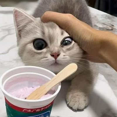 khhrstt's profile picture. ดู update ชีทสรุปทุกวิชาที่มีได้ที่โพสต์ปักหมุด (moresheet : นกแพนกวิน : 800+) #ชีทสรุปbyrst / ด่วนทักไลน์ : rst2545 | support RJN🏐🇯🇵