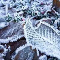 🍁🌧️Meteorología México🥶❄️ (@infometeoro) 's Twitter Profile Photo 🍁🌧️Meteorología México🥶❄️ (@infometeoro) 's Twitter Profile Photo