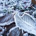 🍁🌧️Meteorología México🥶❄️ (@infometeoro) Twitter profile photo 🍁🌧️Meteorología México🥶❄️ (@infometeoro) Twitter profile photo