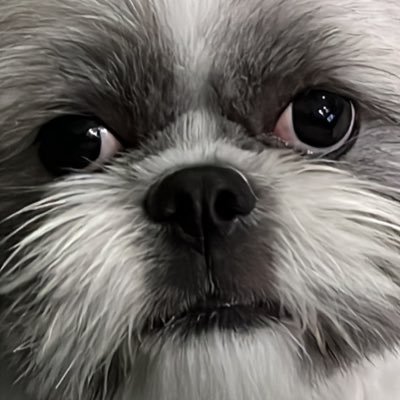 MoniqqB's profile picture. 