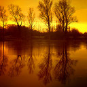 Jack Trout - @JackTrout3 - Twitter