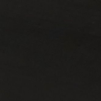 slothqueen21's profile picture. ....