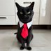 Pépito (@pepitothecat) Twitter profile photo Pépito (@pepitothecat) Twitter profile photo