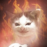 cainer (@notcainer) 's Twitter Profile