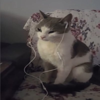 zoubidoubidou24's profile picture. 