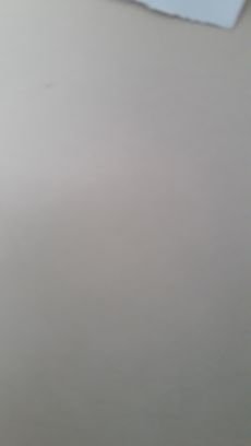 miguel104233512's profile picture. 