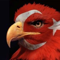 NavyChieff (@navychieff) Twitter profile photo