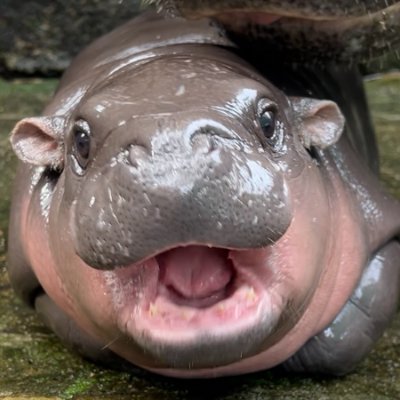 Zhangjingm886's profile picture. 