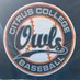 Citrus Owls Baseball (@citrusowlsbaseb) Twitter profile photo Citrus Owls Baseball (@citrusowlsbaseb) Twitter profile photo
