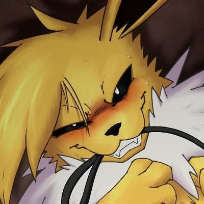 jolteon Zさんのプロフィール画像