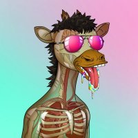 Taylor Rodriguez (@taylorrodr21100) 's Twitter Profile