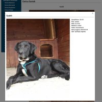 WOLONTARIUSZ (@skielczyk) 's Twitter Profile