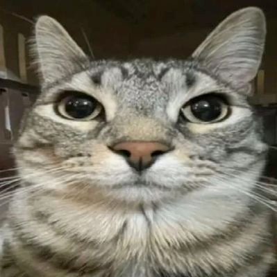 Alteriax21's profile picture. .