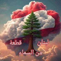 Naim (@nneng2002) 's Twitter Profile Photo
