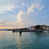 M.Y (@mayyas_yusuf) 's Twitter Profile