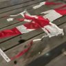 CanadaDistress's profile picture. Just living is not enough. One must have freedom.