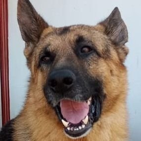 FlorPira1 Profile Picture