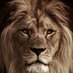 Leo the lion (@bigboylion) Twitter profile photo Leo the lion (@bigboylion) Twitter profile photo