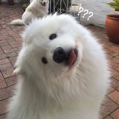 Noname1036052's profile picture. 