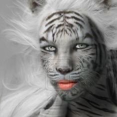 dntze's profile picture. 💙