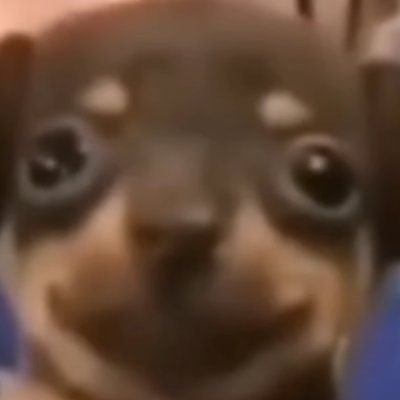 AtykS_'s profile picture. 15yo 🇫🇷 Immo 3 peak 
Valorant player for ???