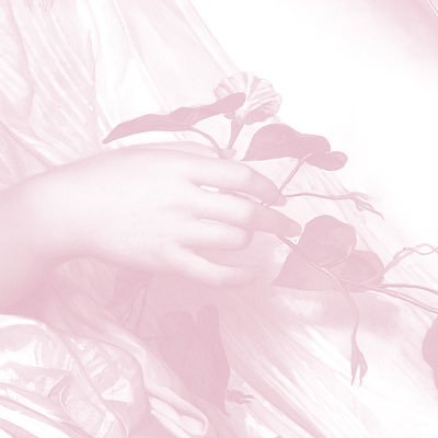 perfectblushxo's profile picture. perfectblushxo@hotmail.com