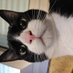 ᵗkiowo :3 (@maikiowo) Twitter profile photo ᵗkiowo :3 (@maikiowo) Twitter profile photo