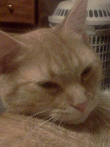 Wendy0082's profile picture. 