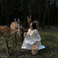 🪄🪄ش (@vvvvbjl) 's Twitter Profile