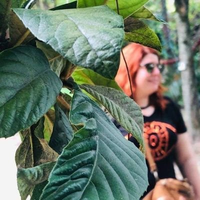 ChivizGG's profile picture. 