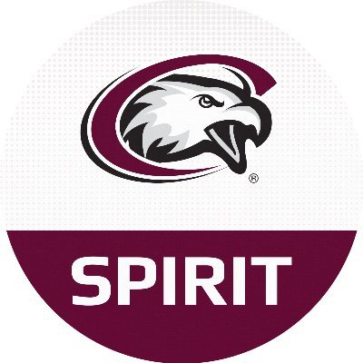 csceaglesspirit's profile picture. 