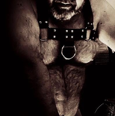 Bearcubwales's profile picture. 