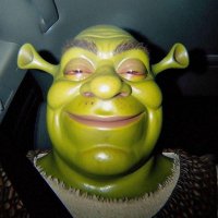 HUNGRY BOYY (@bettermustcom7) 's Twitter Profile