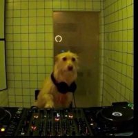 .mp3π (@hucklebae) 's Twitter Profile
