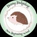 New Beginning Wood (@newbegwood) Twitter profile photo New Beginning Wood (@newbegwood) Twitter profile photo