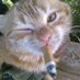 Echo Postagens™ (@echopostingg) Twitter profile photo Echo Postagens™ (@echopostingg) Twitter profile photo