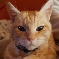 una maniática de mierda 🪐 (@l123126) 's Twitter Profile Photo una maniática de mierda 🪐 (@l123126) 's Twitter Profile Photo