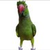 truthparrott (@morleyaxis) Twitter profile photo truthparrott (@morleyaxis) Twitter profile photo