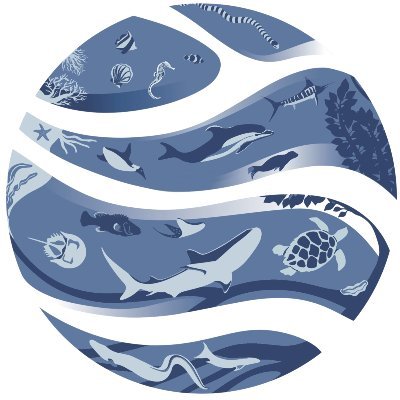 IUCN SSC MCC - Supporting, enhancing & mobilising expertise in
marine species conservation for a better future.
(Photo credits on website)