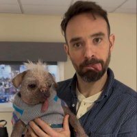 chris! (@chrisisdare) 's Twitter Profile