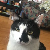 налийте кока-кола (@mblm01) 's Twitter Profile