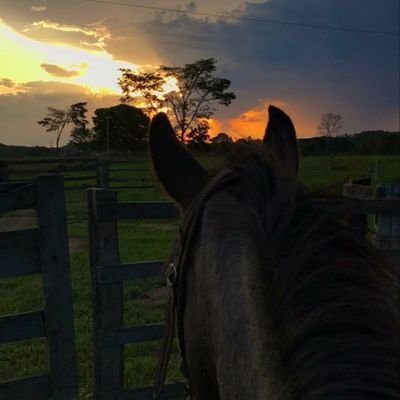 SaidArroyo36766's profile picture. 🌄