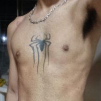 Spider 🕷️ (@srcalado1771) 's Twitter Profile