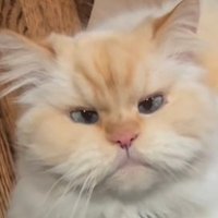 Paddywhereami (@paddywhereami) 's Twitter Profile Photo Paddywhereami (@paddywhereami) 's Twitter Profile Photo